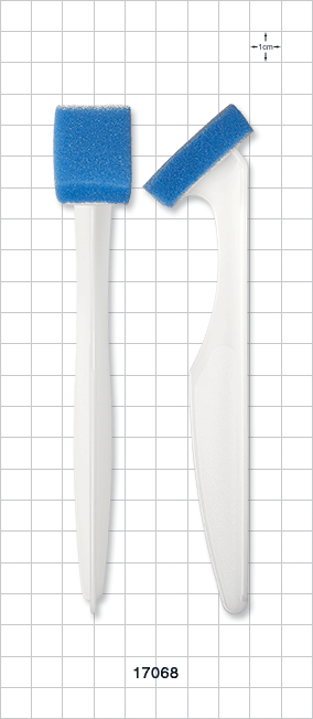 Angled Sponge on a Stick