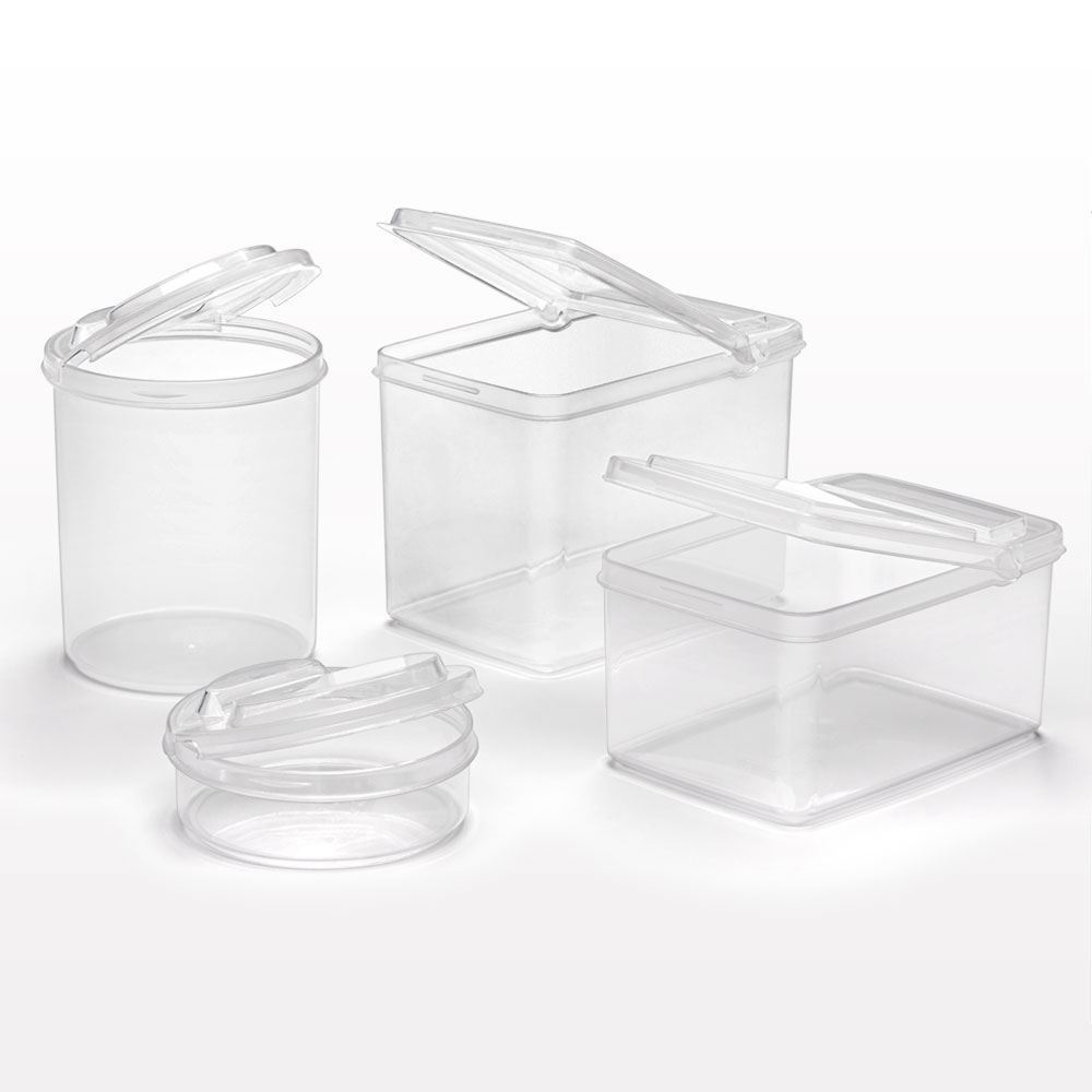 Medium Rectangle Container with Flip Top Lid, Clear